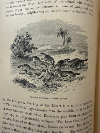 The Desert World from the French of Arthur Mangin Edited and Enlarged