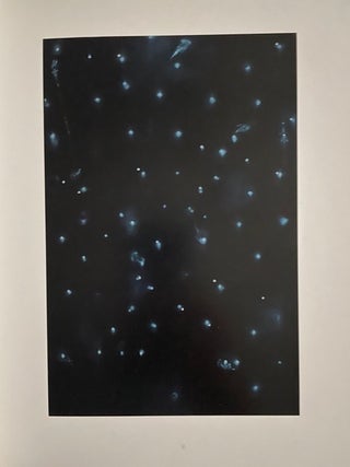 Ross Bleckner; 22 October To 19 November 1988