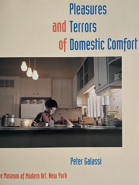 Item #2242 Pleasures And Terrors Of Domestic Comfort. Peter Galassi.