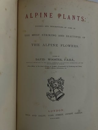 Alpine Plants; Figures and Description of some of the most striking and beautiful of The Alpine Flowers