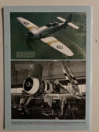 Hawker Sea Fury; (Warpaint Series No.16)