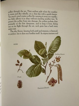 The Blossom on the Bough: A Book of Trees