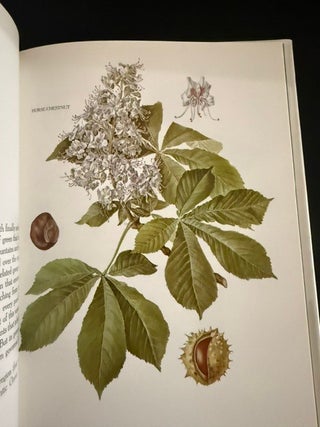 The Blossom on the Bough: A Book of Trees