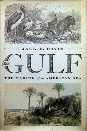 Item #4167 The Gulf: The Making of An American Sea. Jack E. Davis