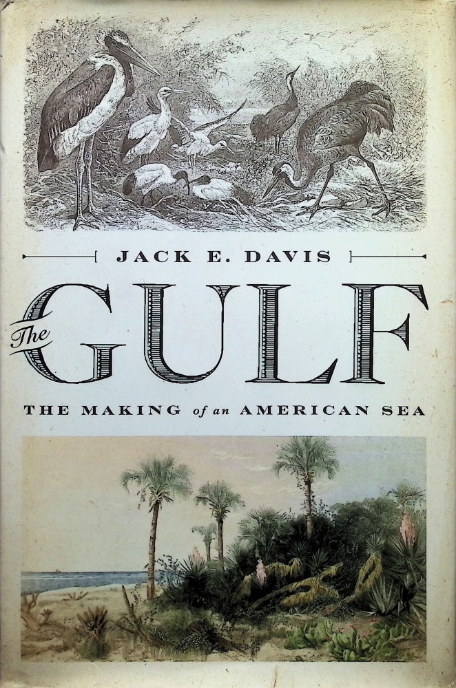 Item #4167 The Gulf: The Making of An American Sea. Jack E. Davis.