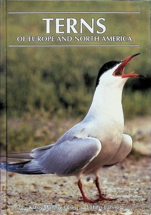 Item #4243 Terns of Europe and North America Olsen. Klaus Malling, Hans Larsson
