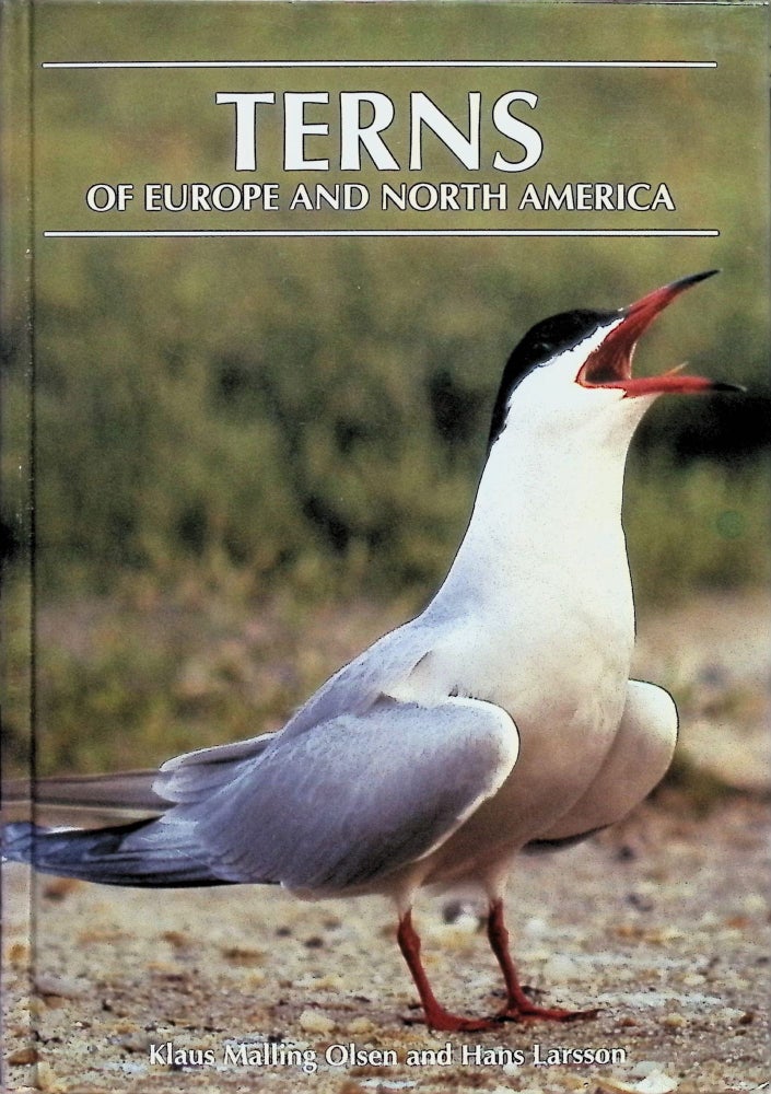 Item #4243 Terns of Europe and North America Olsen. Klaus Malling, Hans Larsson.