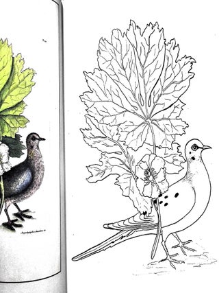 Treasured Drawings from Mark Catesby: A Coloring Book for All Ages
