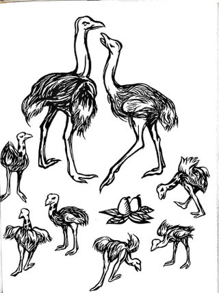 Lion and the Ostrich Chicks (Signed)