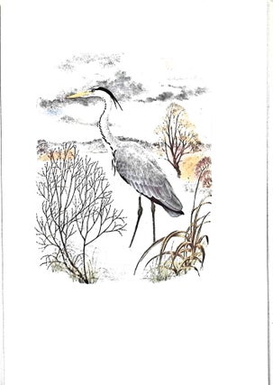 Bird, Beast and Flower
