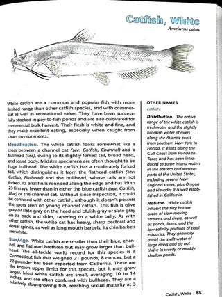 Ken Schultz's Field Guide to Freshwater Fish