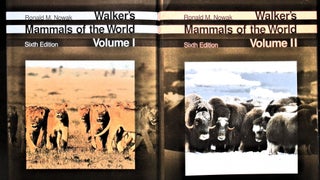 Item #5404 Walker's Mammals of the World (2-Volume Set). Ronald M. Nowak