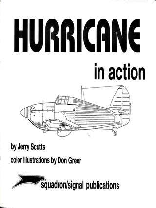 Hurricane in action