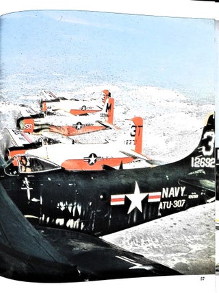 Fighting Colors: Glory Days of U.S. Aircraft Markings