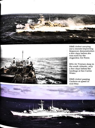 Mountain Commandos at War in the Falklands: The Royal Marines Mountain and Arctic Warfare Cadre in Action During the 1982 Conflict