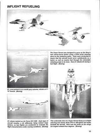F/A-18E/F Super Hornet in Detail Scale (DS, Vol. 69)