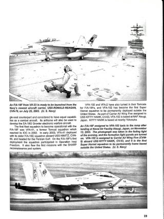 F/A-18E/F Super Hornet in Detail Scale (DS, Vol. 69)
