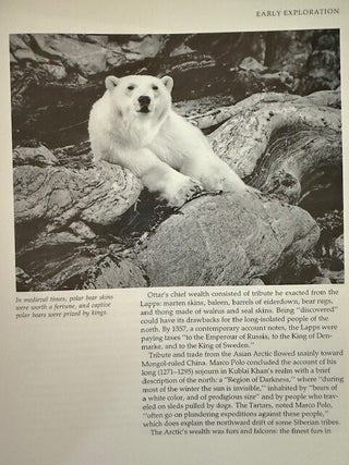 Arctic World