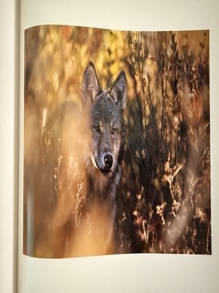 Alaska: Hints of Paradise (Signed)