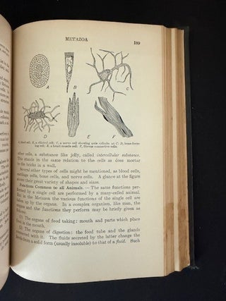 Elements Of Biology A Practical Text Book Correlating Botany, Zoology, and Human Physiology